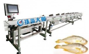 海鮮大小分級(jí)機(jī) 珠海大航供應(yīng) 15年匠心定制質(zhì)量保證