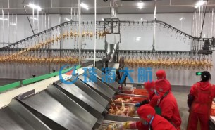禽肉廠分揀生產(chǎn)線(xiàn)