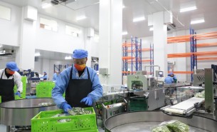 蔬菜配重機(jī)：解決人工成本與效率問(wèn)題，助力蔬菜加工發(fā)展